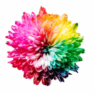 colour